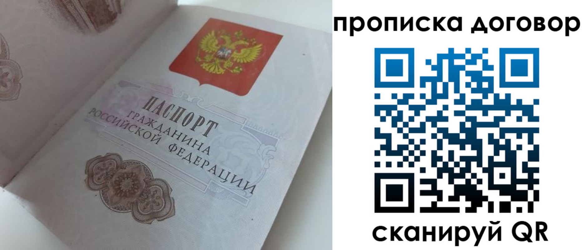 прописка поиск в Шумихе